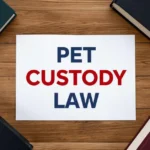How California's New Pet Custody Law Works